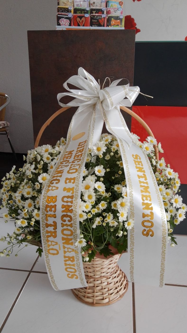 Cesta de margaridas (belga) com faixa