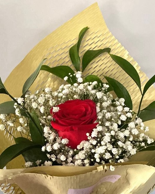 Rosas vermelhas